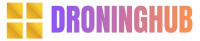 Logo droninghub.com
